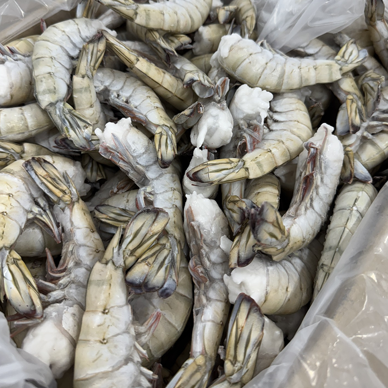 Black Tiger shrimp in HLSO and Easy Peel formats