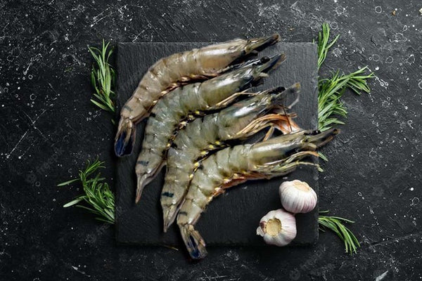 Black Tiger shrimp in HOSO format