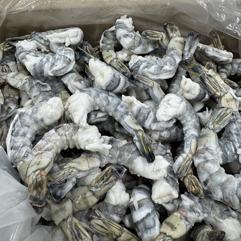 Black Tiger shrimp in PDTO format