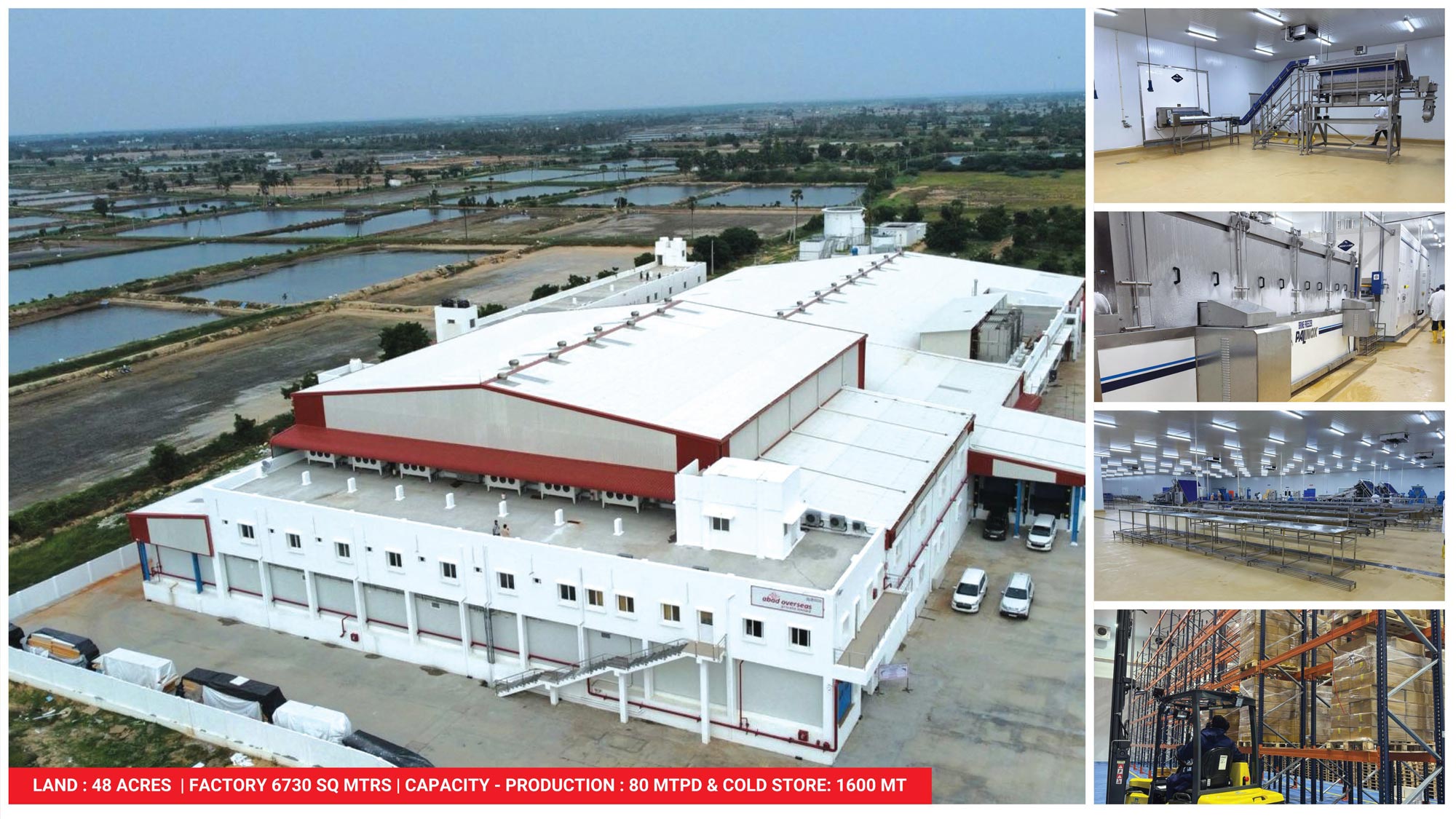 Nellore shrimp processing facility in Andhra Pradesh