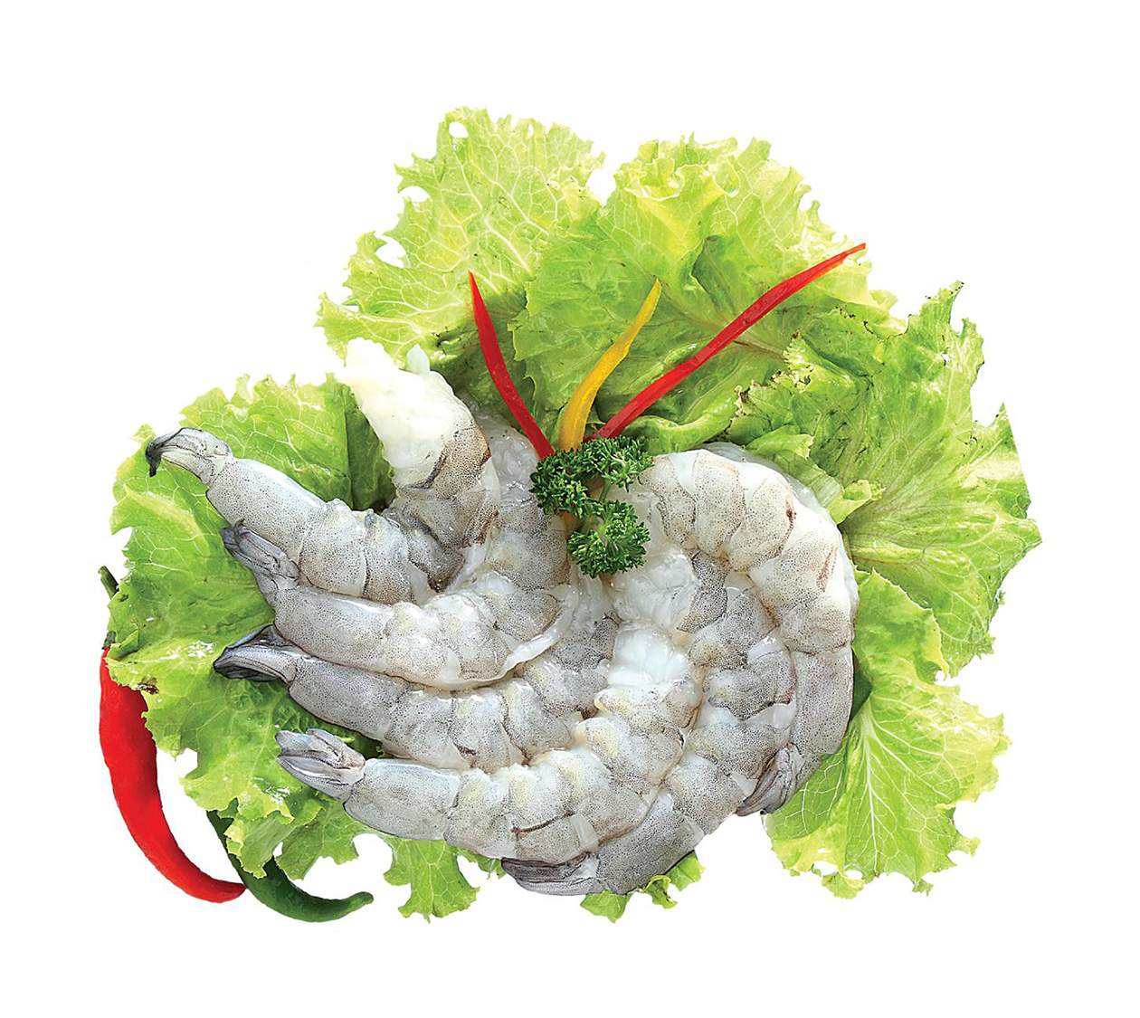 Exterior view of the Abad Overseas Nellore processing facility