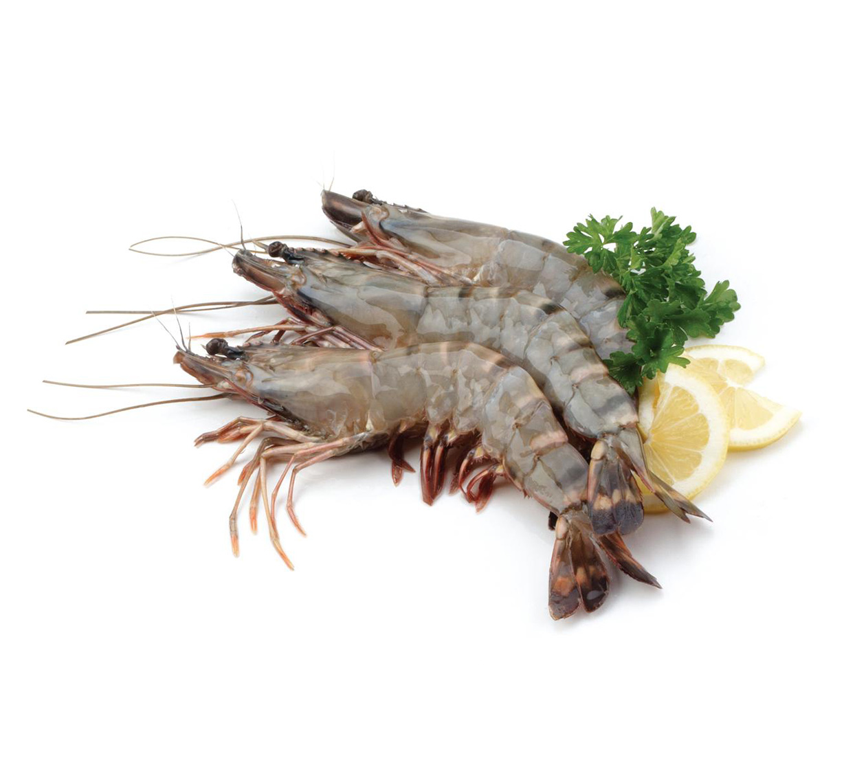 Exterior view of the Abad Overseas Chennai processing facility