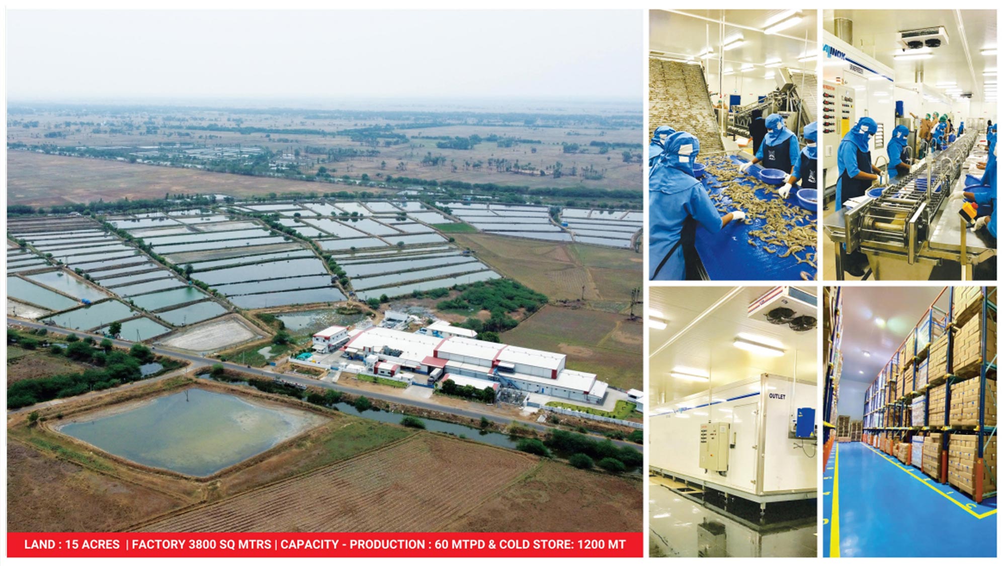 Nizampatnam shrimp processing facility in Andhra Pradesh